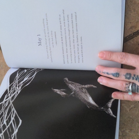 Moonlight Gratitude 365 Art Meditation Sleep Book, Beautiful! Emily Silvia - Picture 6 of 7